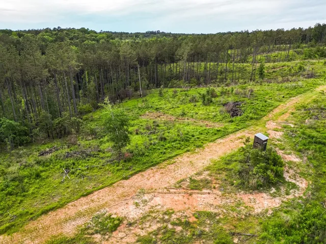 $1,670,000 | 1 Cemetary Road, Harrisonburg, LA 71340