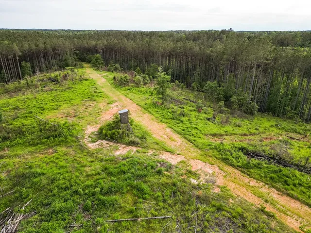 $1,670,000 | 1 Cemetary Road, Harrisonburg, LA 71340