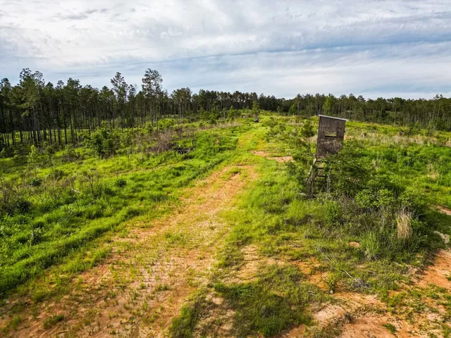 $1,670,000 | 1 Cemetary Road, Harrisonburg, LA 71340