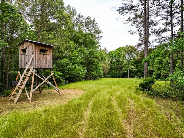 $1,670,000 | 1 Cemetary Road, Harrisonburg, LA 71340