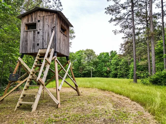 $1,670,000 | 1 Cemetary Road, Harrisonburg, LA 71340