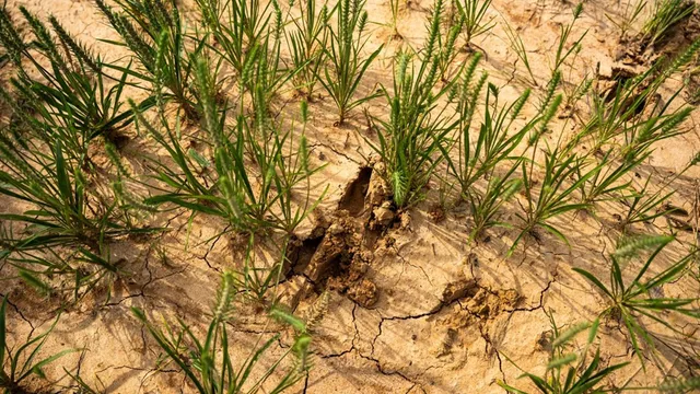 $1,670,000 | 1 Cemetary Road, Harrisonburg, LA 71340