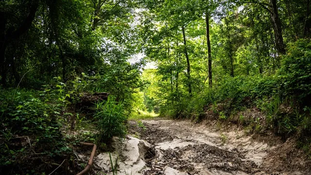 $1,670,000 | 1 Cemetary Road, Harrisonburg, LA 71340