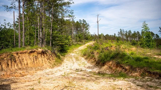 $1,670,000 | 1 Cemetary Road, Harrisonburg, LA 71340