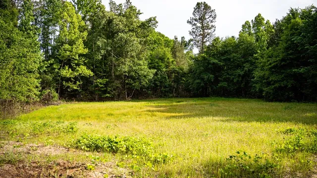 $1,670,000 | 1 Cemetary Road, Harrisonburg, LA 71340