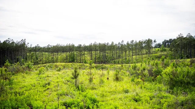 $1,670,000 | 1 Cemetary Road, Harrisonburg, LA 71340