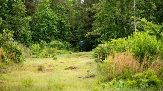 $1,670,000 | 1 Cemetary Road, Harrisonburg, LA 71340