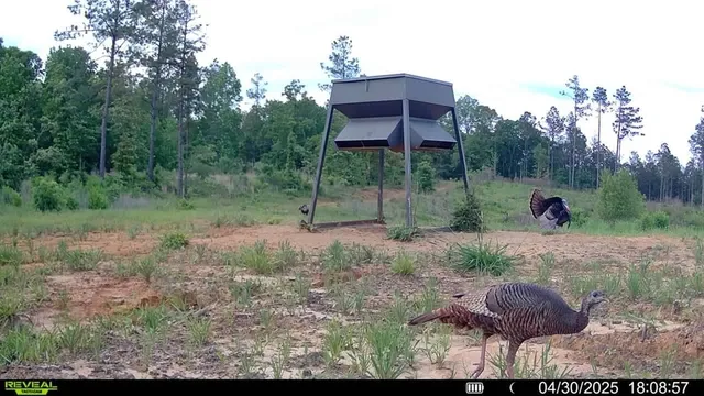 $1,670,000 | 1 Cemetary Road, Harrisonburg, LA 71340