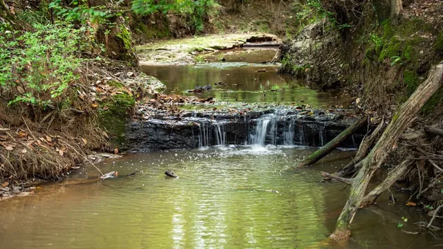 $1,670,000 | 1 Cemetary Road, Harrisonburg, LA 71340