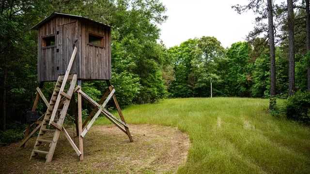 $1,670,000 | 1 Cemetary Road, Harrisonburg, LA 71340