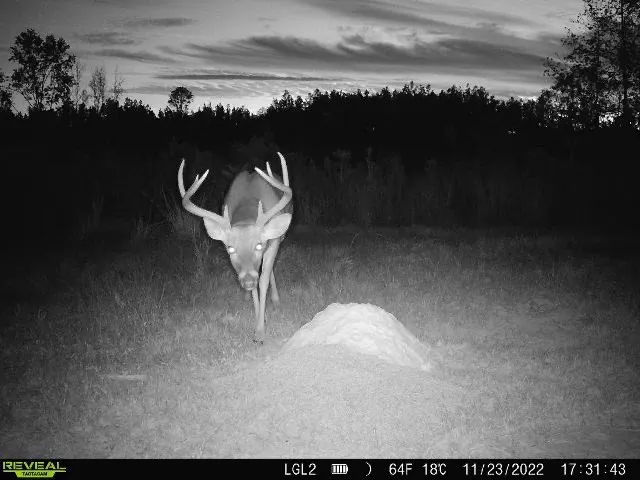 $1,670,000 | 1 Cemetary Road, Harrisonburg, LA 71340