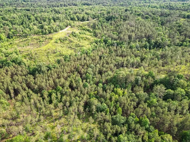 $1,670,000 | 1 Cemetary Road, Harrisonburg, LA 71340