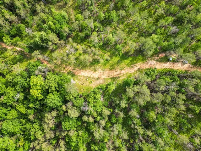 $1,670,000 | 1 Cemetary Road, Harrisonburg, LA 71340