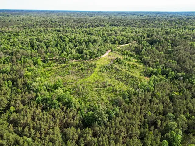 $1,670,000 | 1 Cemetary Road, Harrisonburg, LA 71340