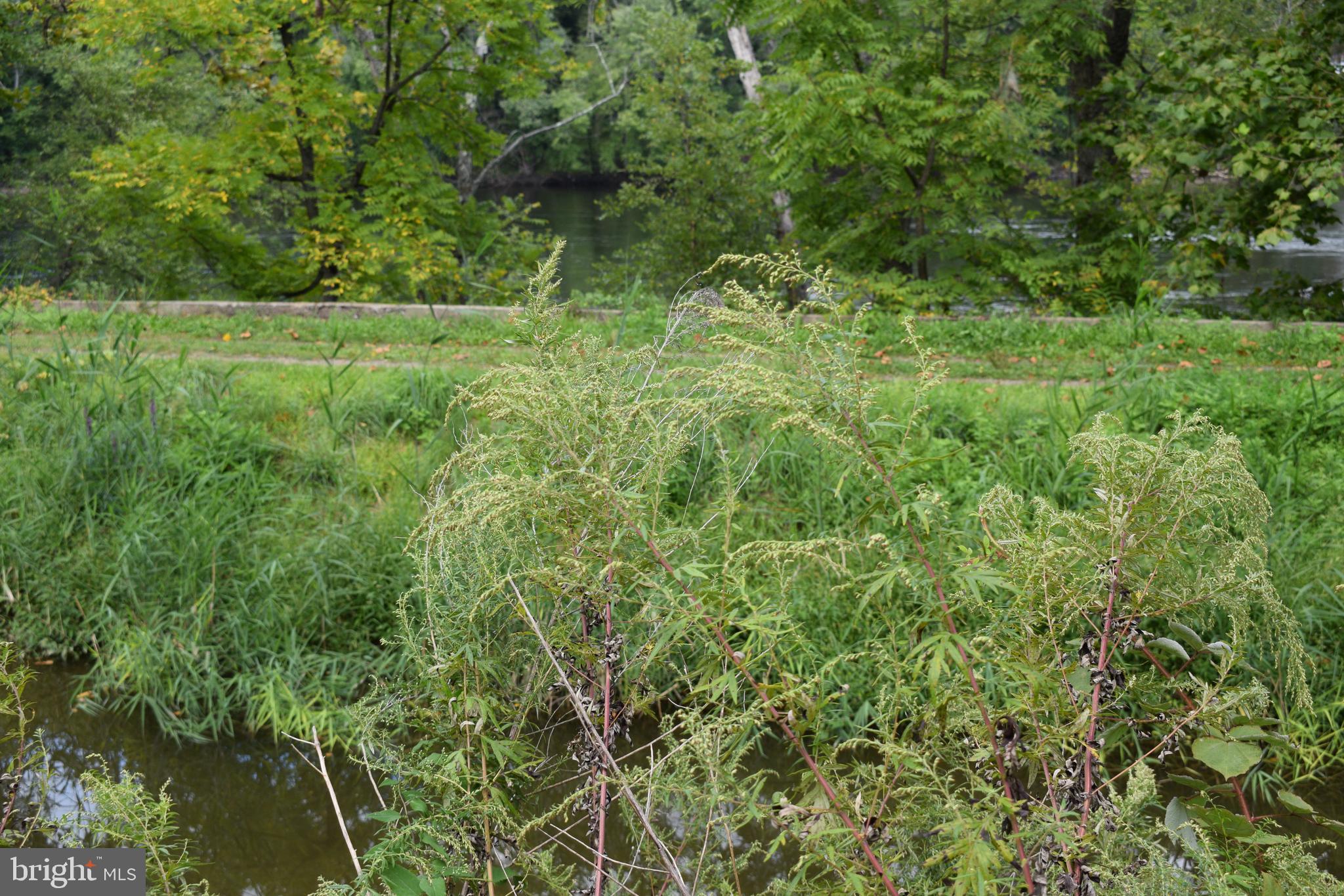 1744 Easton Road Riegelsville, PA 18077 - Photo 16 of 17 Gallery Image 16