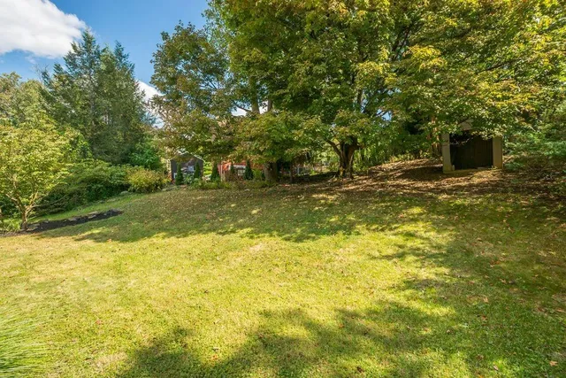 a view of a yard with a trees