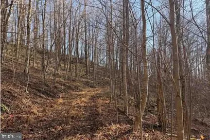 $74,999 | Lot 5-34.53 Acres Lot 5-34.53 Acres Lick Creek Green, Green Sulphur Springs, WV 25976