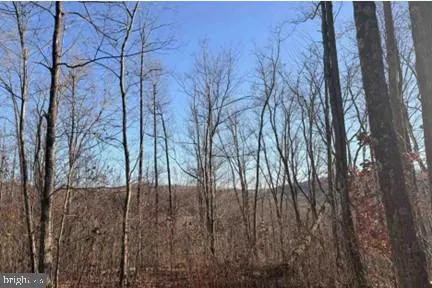 $74,999 | Lot 5-34.53 Acres Lot 5-34.53 Acres Lick Creek Green, Green Sulphur Springs, WV 25976