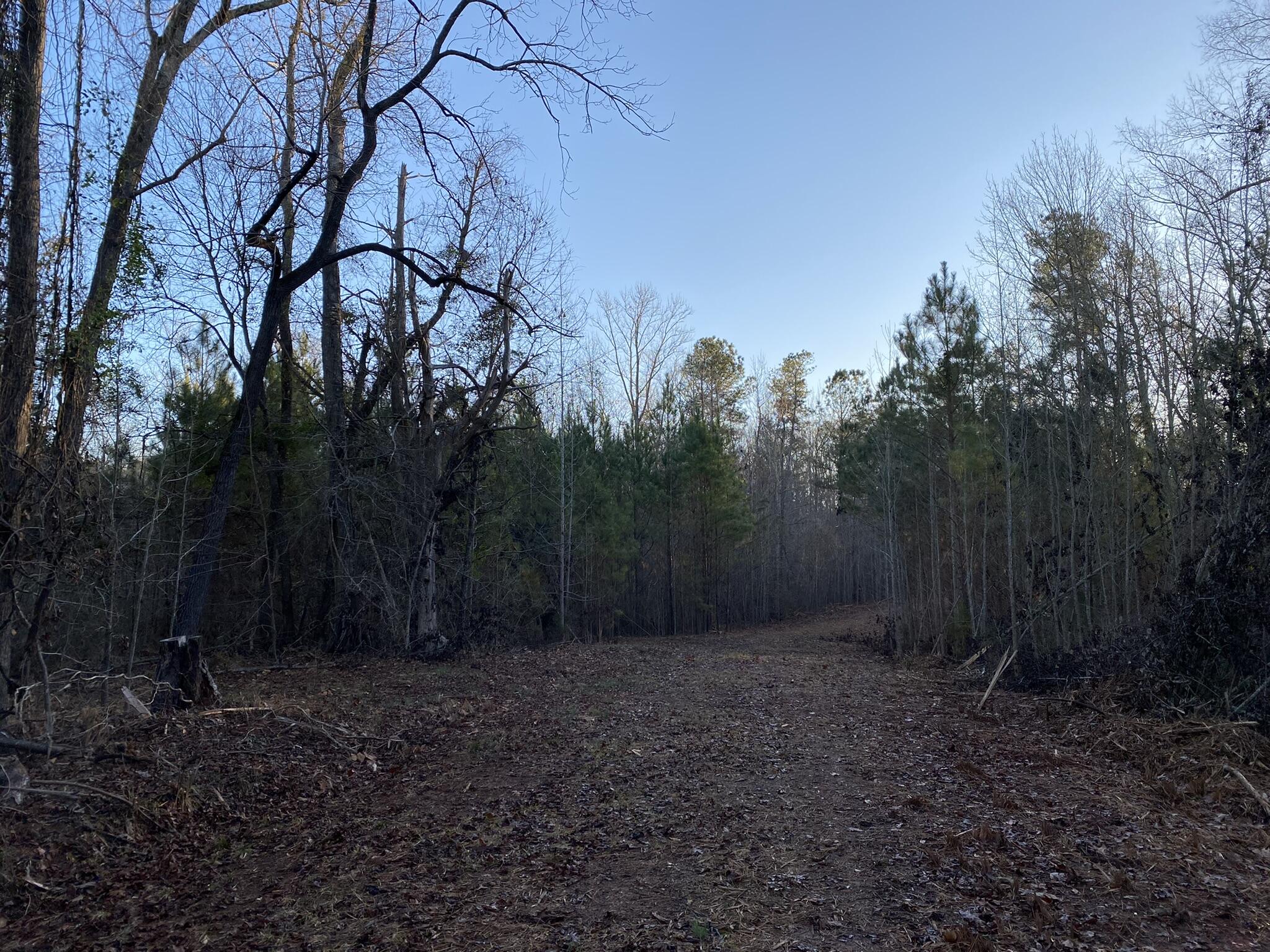 Batesburg-leesville Sc 29006 Road Leesville, SC 29070 - Photo 18 of 22