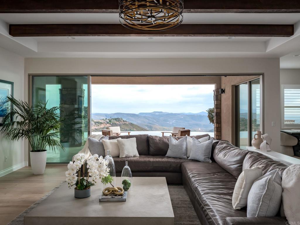 546 Ledge Street San Marcos, CA 92078 - Photo 10 of 75 a living room with furniture and a potted plant