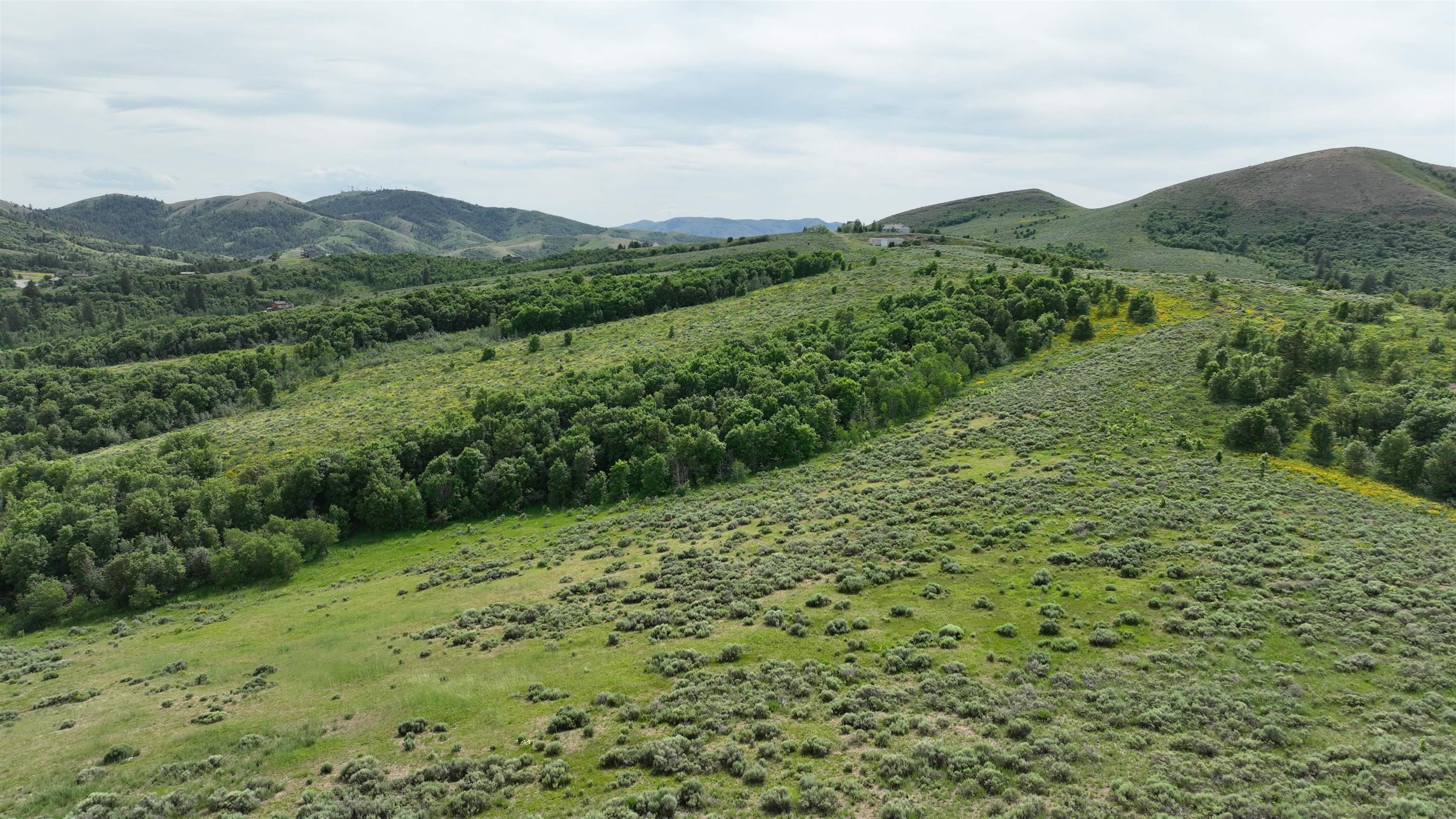 West Buckskin Road Pocatello, ID 83201 - Photo 14 of 41 Gallery Image 14