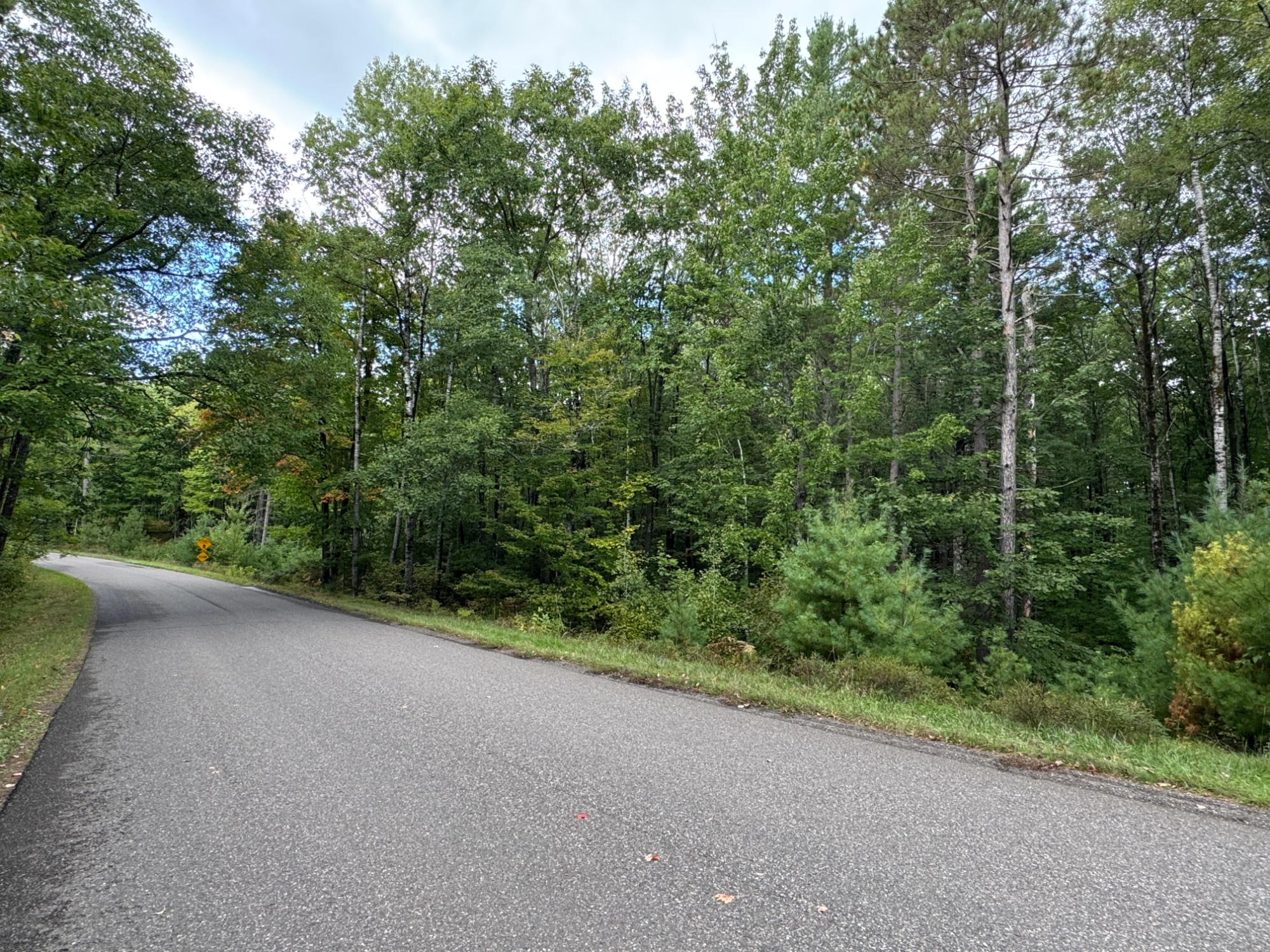 Lot #5 Sutton Road Minocqua, WI 54548 - Photo 8 of 15 Gallery Image 8