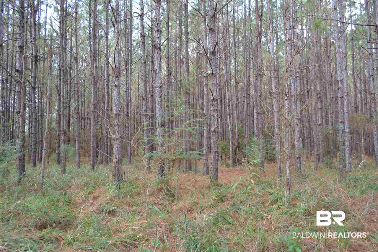 20751 Keller Road Foley, AL 36535 - Photo 33 of 44