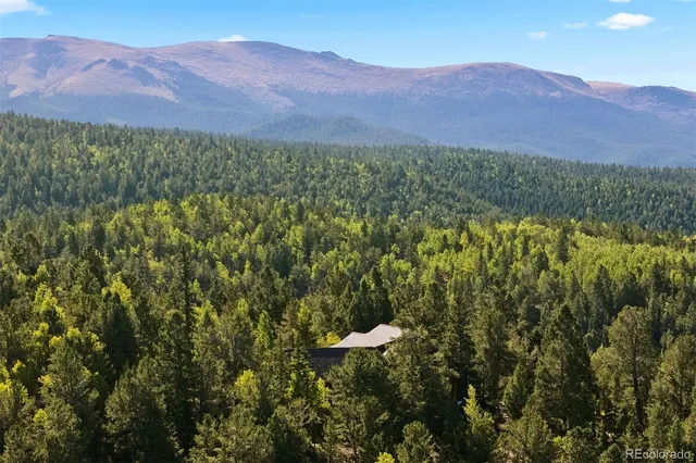 a view of a lush green hillside and a houses