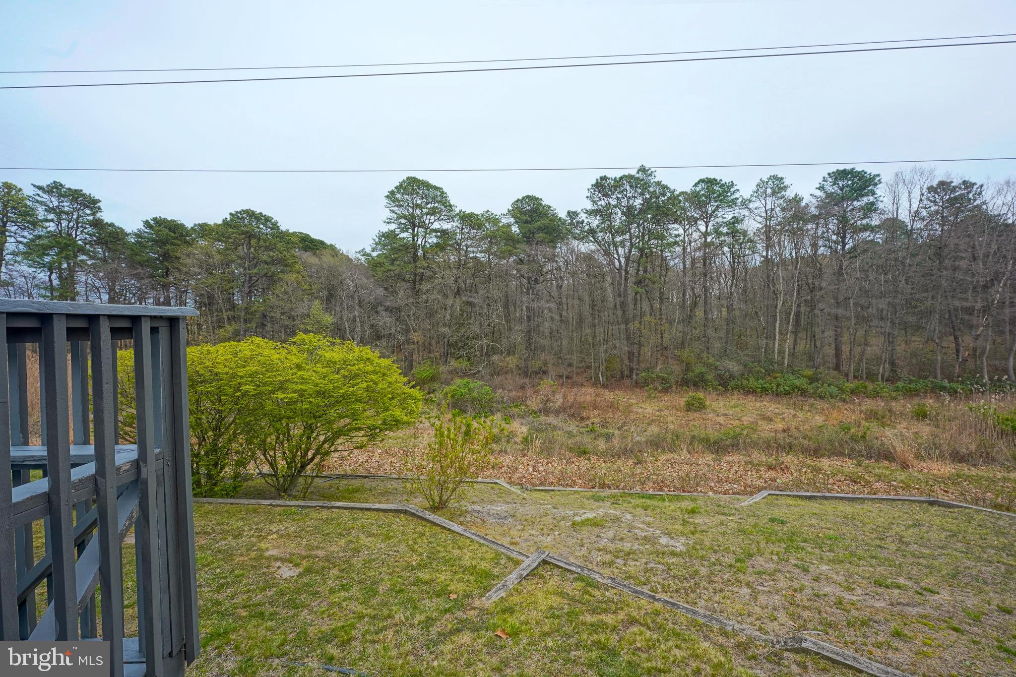 51 Penn Road Voorhees, NJ 08043 - Photo 5 of 61 Back Yard View 2.5 + Acres