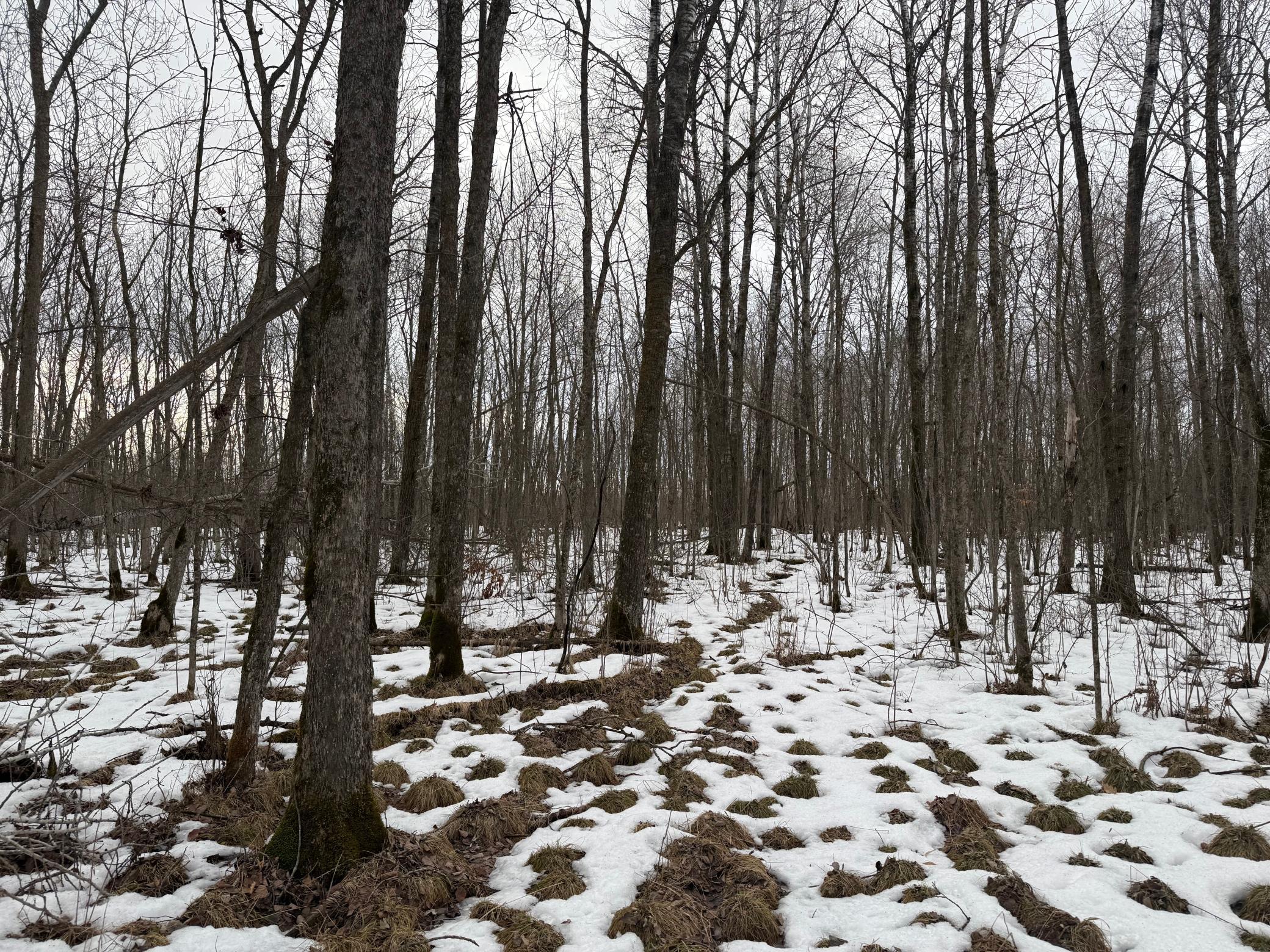 Na Friesland Road Hinckley, MN 55037 - Photo 12 of 39