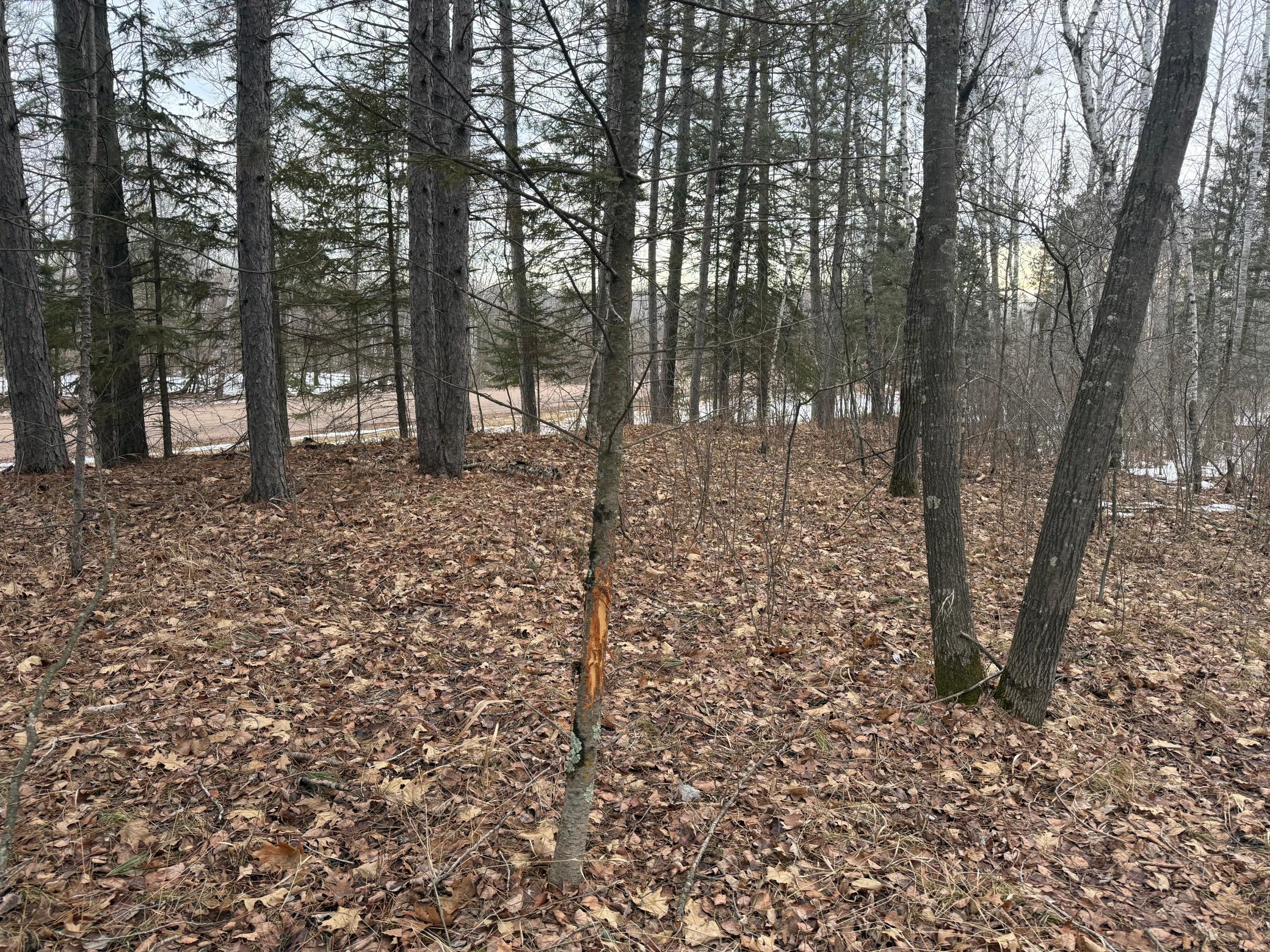 Na Friesland Road Hinckley, MN 55037 - Photo 2 of 39