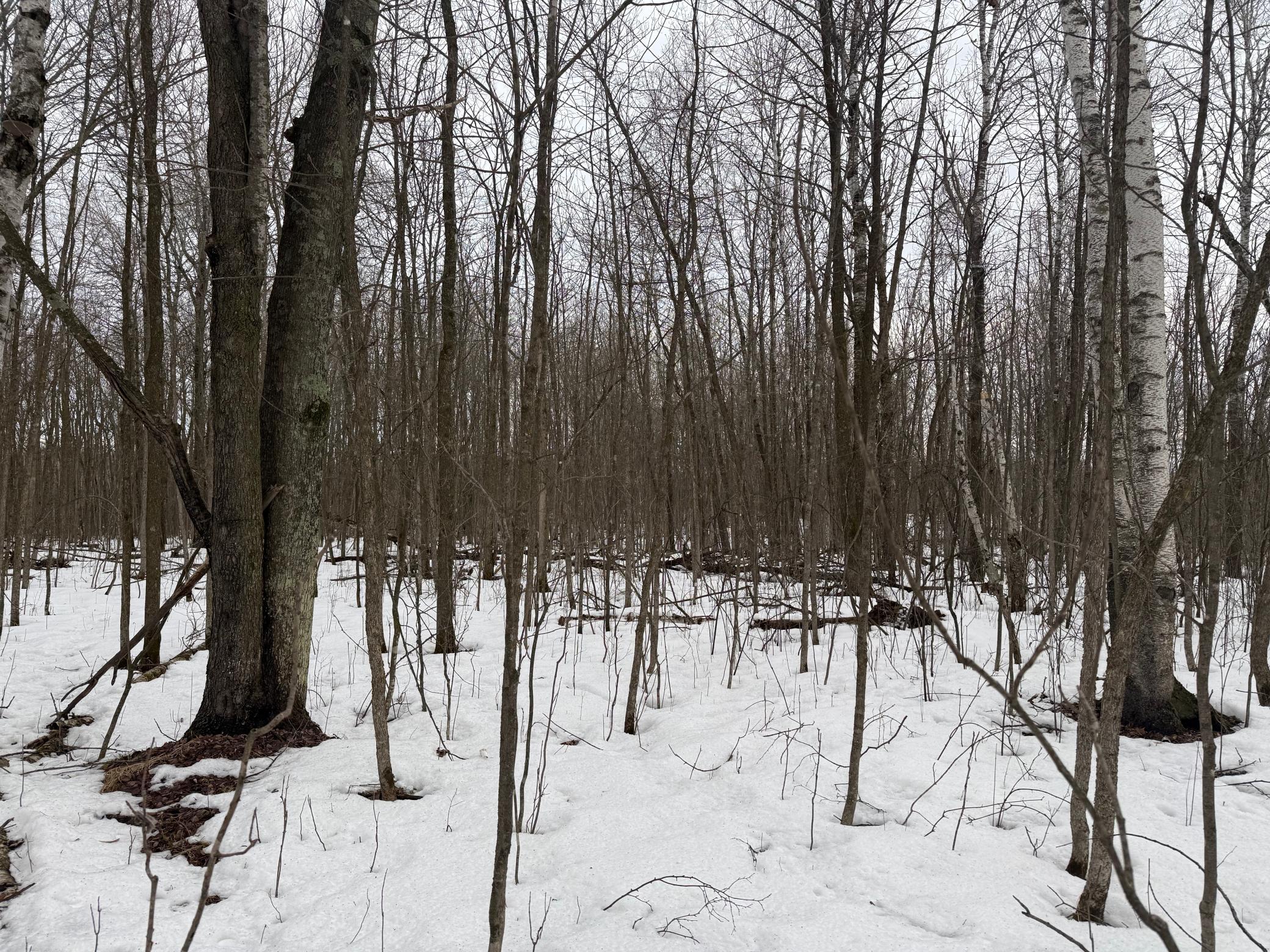 Na Friesland Road Hinckley, MN 55037 - Photo 24 of 39