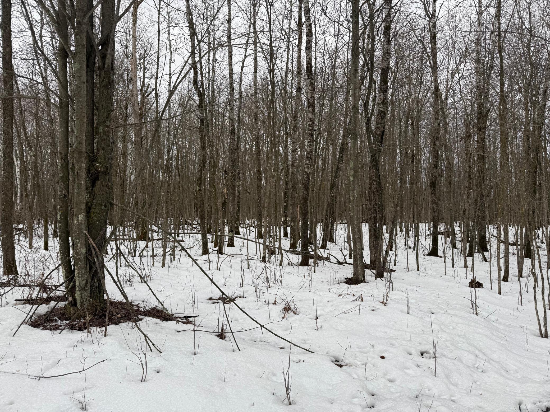Na Friesland Road Hinckley, MN 55037 - Photo 27 of 39