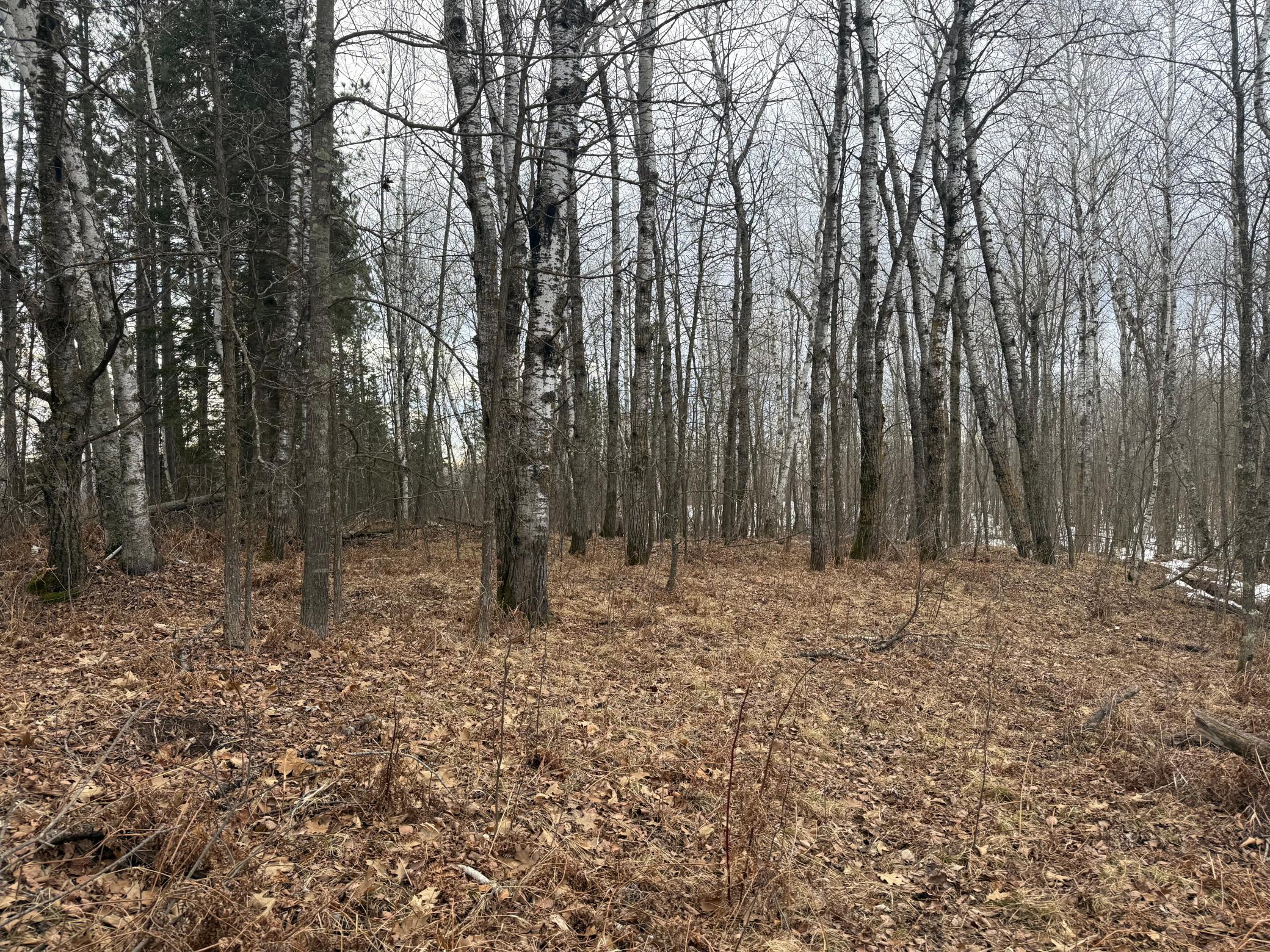 Na Friesland Road Hinckley, MN 55037 - Photo 9 of 39