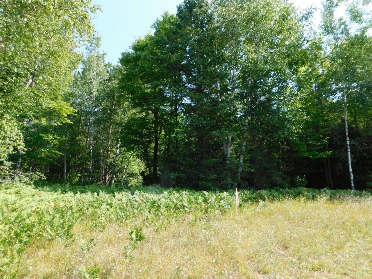 On On Clover Road Winter, WI 54896 - Photo 2 of 19 Gallery Image 2