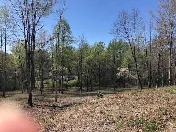 $59,900 | 18 Piney View Drive, Spring City, TN 37381
