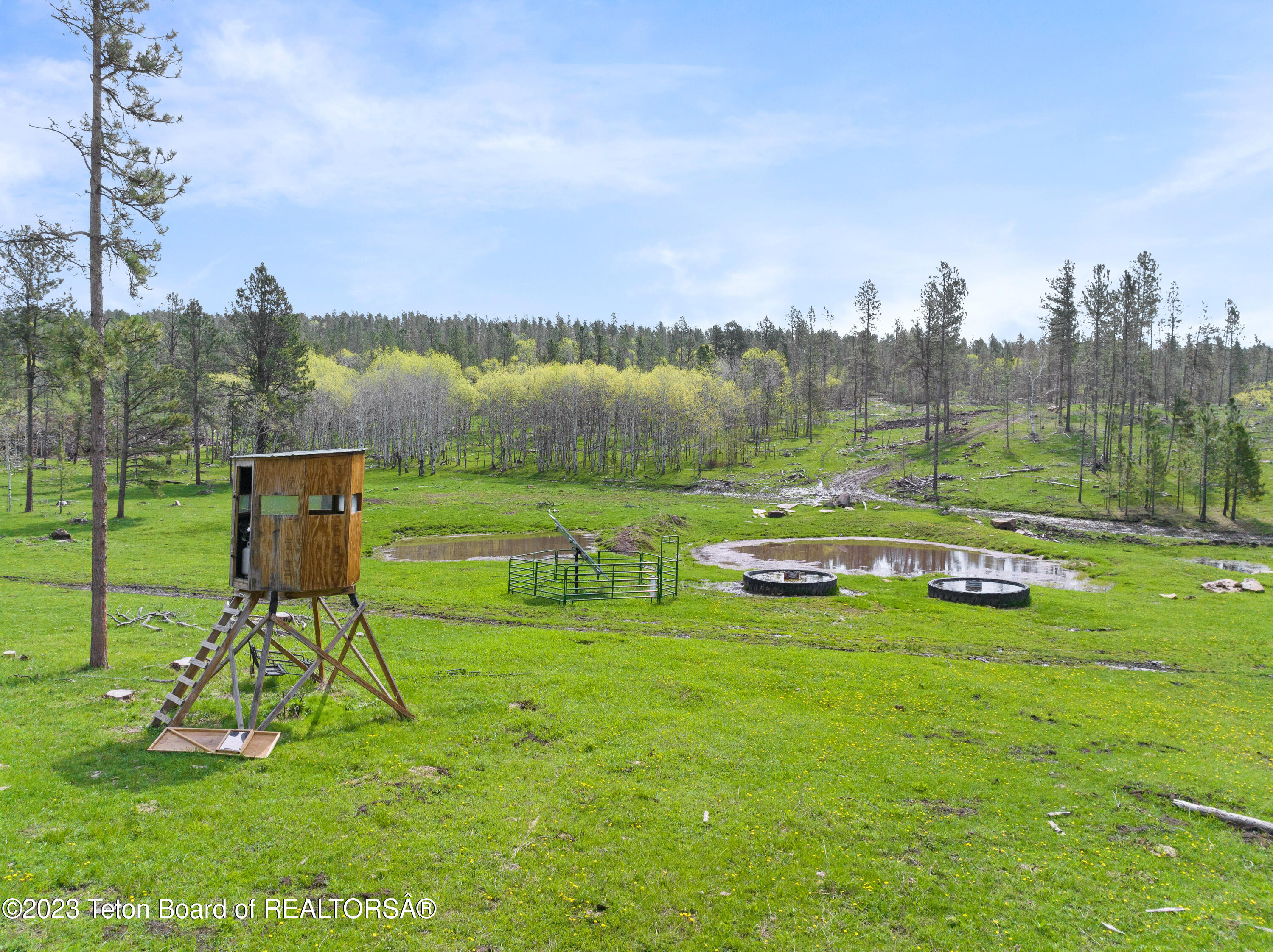 140 Cow Camp Road Sundance, WY 82729 - Photo 25 of 103 Ranch of Our Lady MLS-34