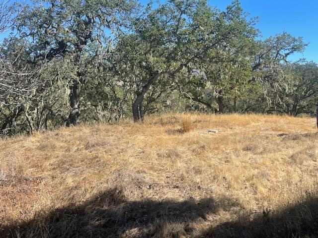 0 Cachagua Road Carmel Valley, CA 93924 - Photo 1 of 6 a view of empty yard