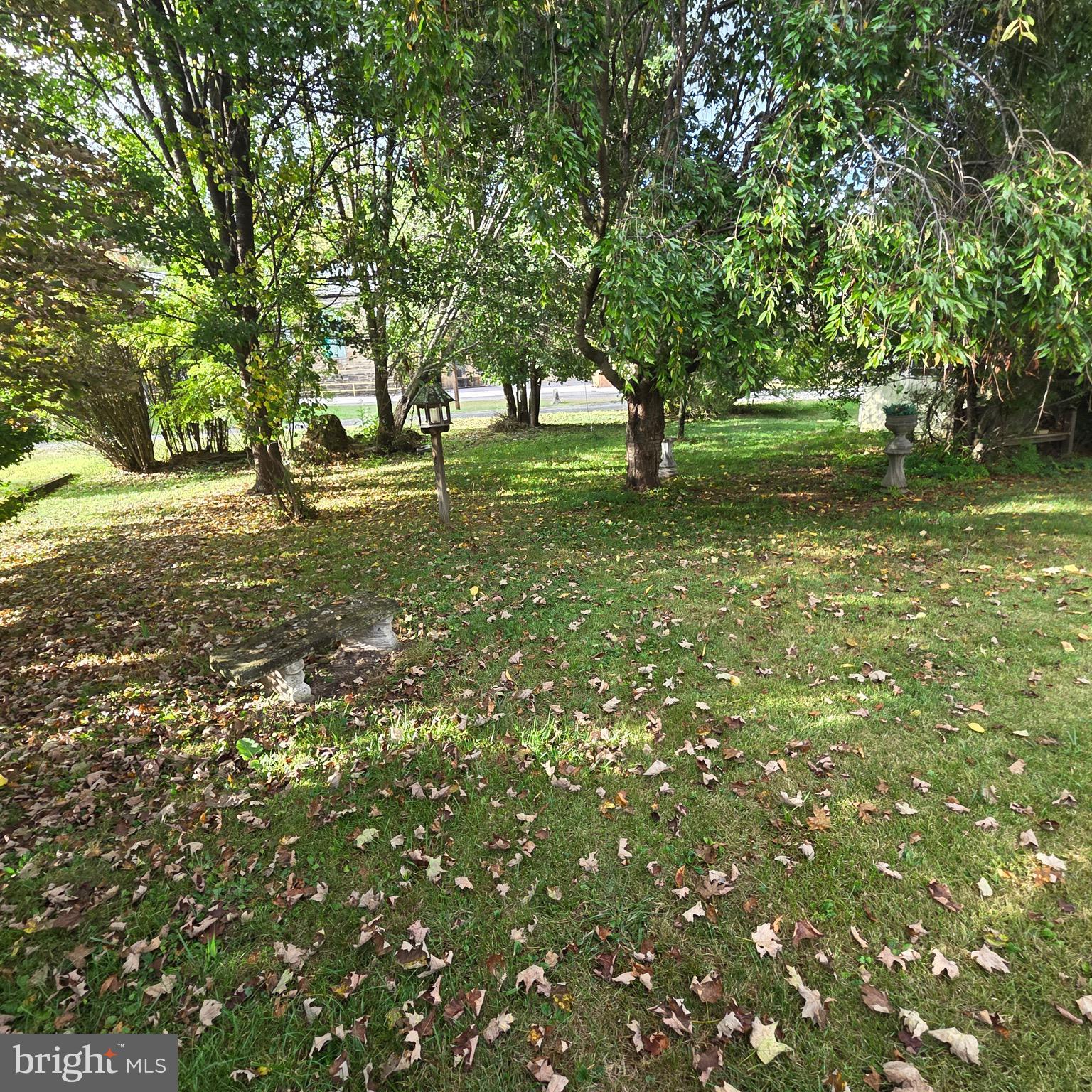 15919 Foundry Row Northwest Mount Savage, MD 21545 - Photo 33 of 41 a big yard with lots of green space and trees