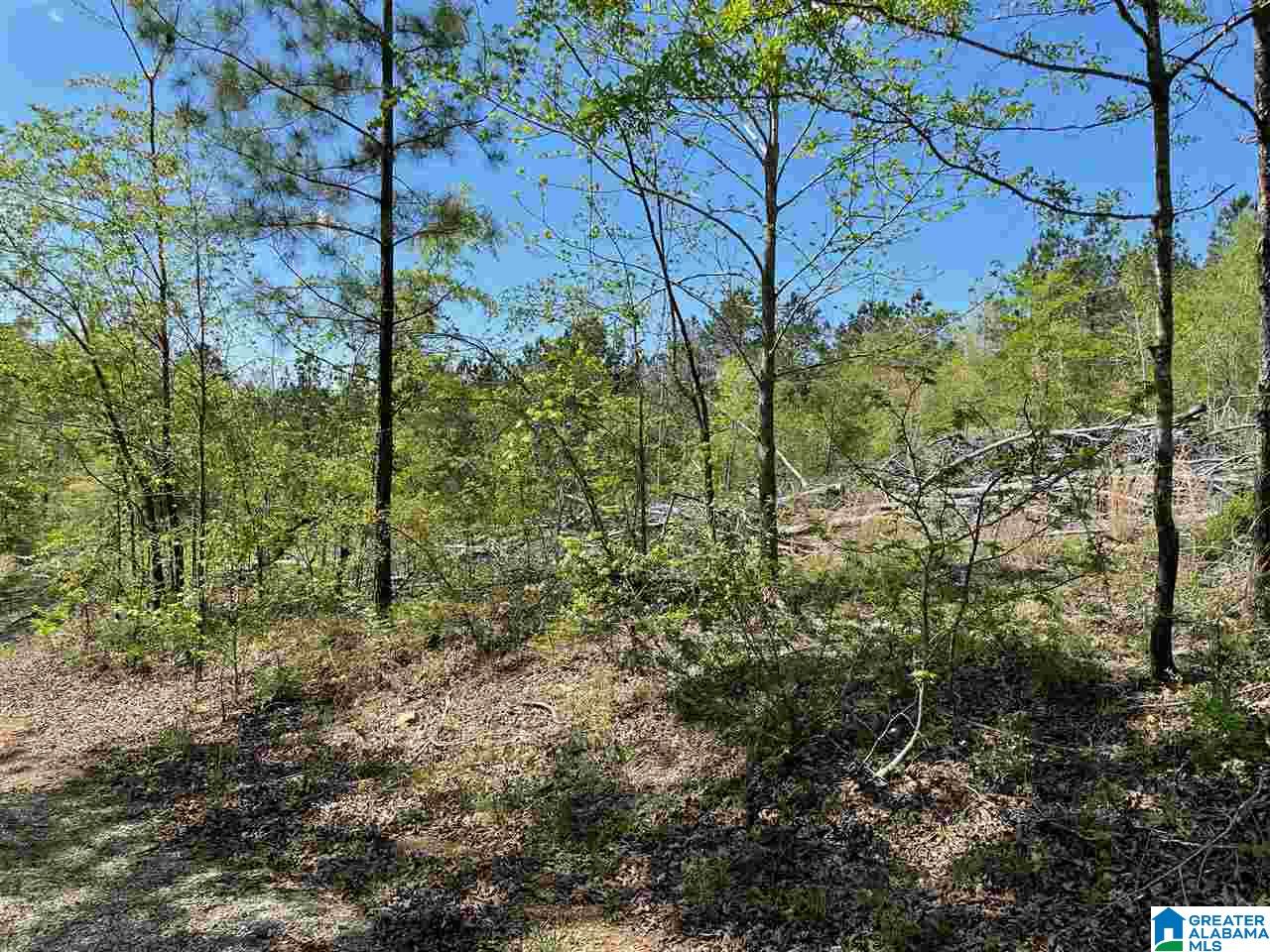 499 Greensport Road Ohatchee, AL 36271 - Photo 3 of 12