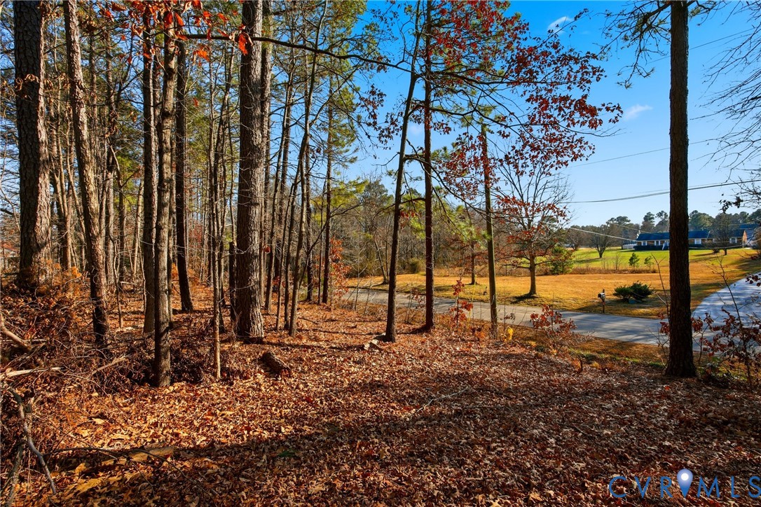 1675 Meadow Road Sandston, VA 23150 - Photo 10 of 13