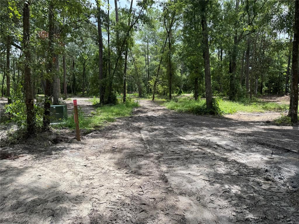 Tbd Waldo, FL 32694 - Photo 16 of 17