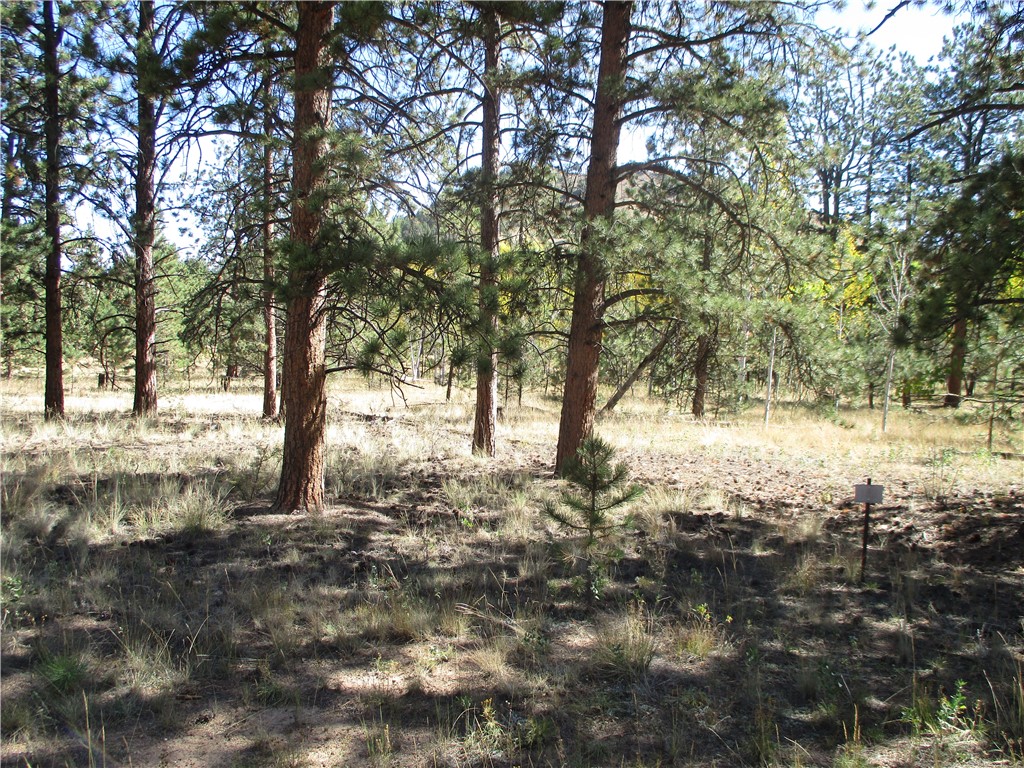 166 Haystack Road Hartsel, CO 80449 - Photo 7 of 16 Gallery Image 7