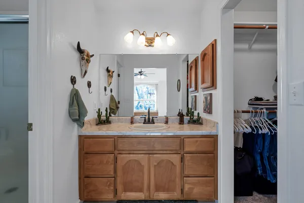 a view of a park with large trees