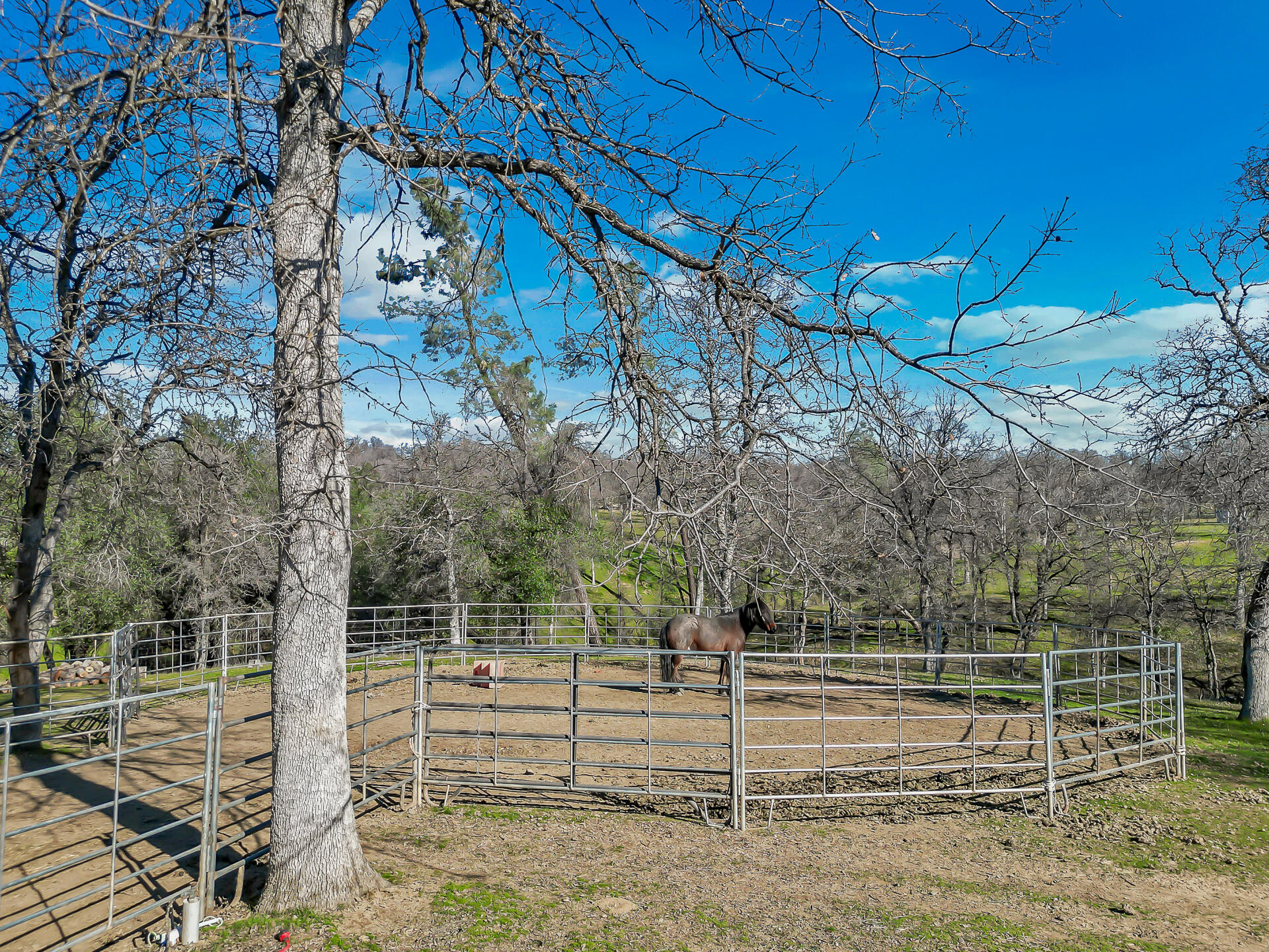 13725 Gas Point Road Igo, CA 96047 - Photo 42 of 56 Fenced
