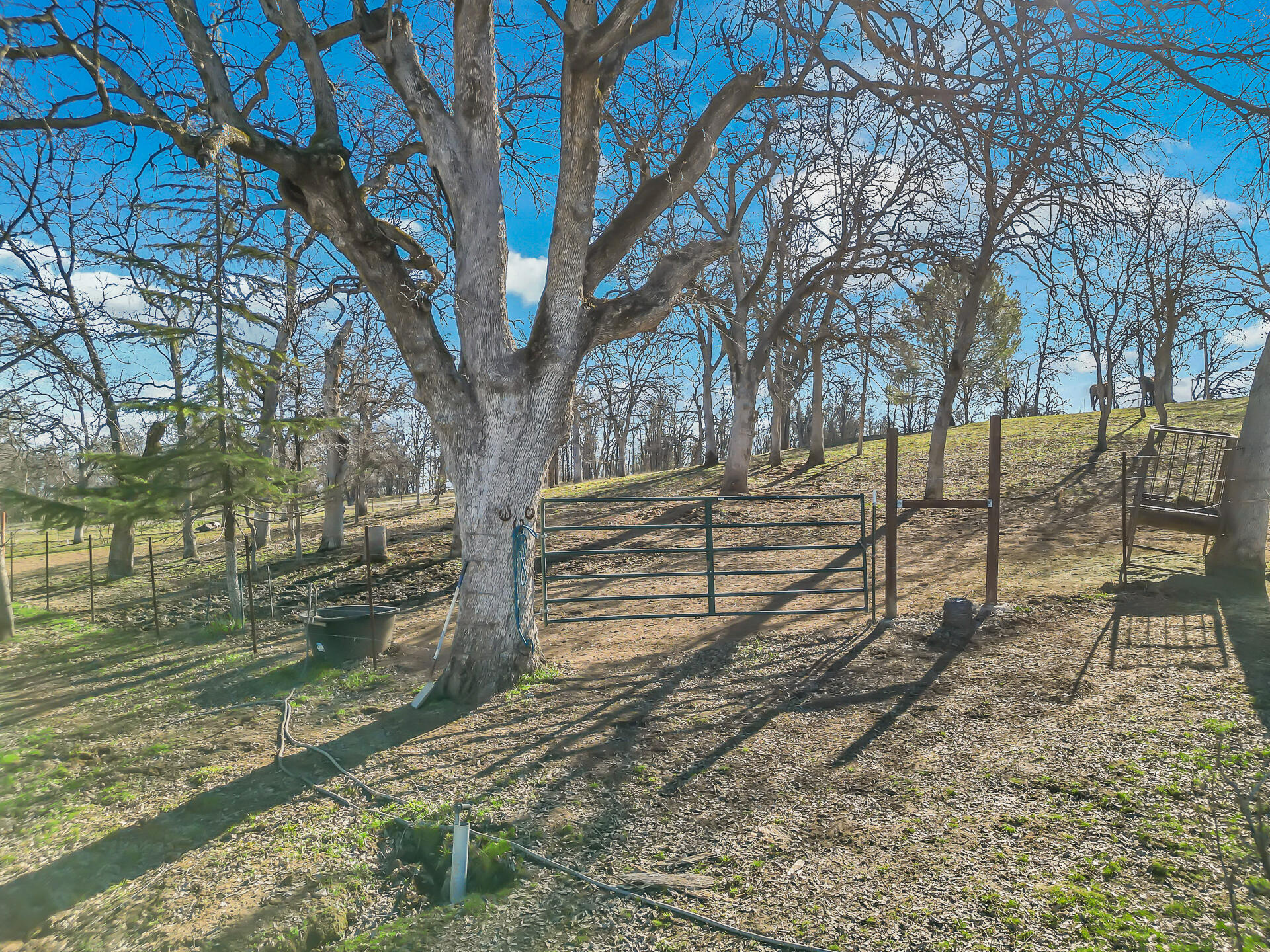 13725 Gas Point Road Igo, CA 96047 - Photo 43 of 56 Cross Fenced