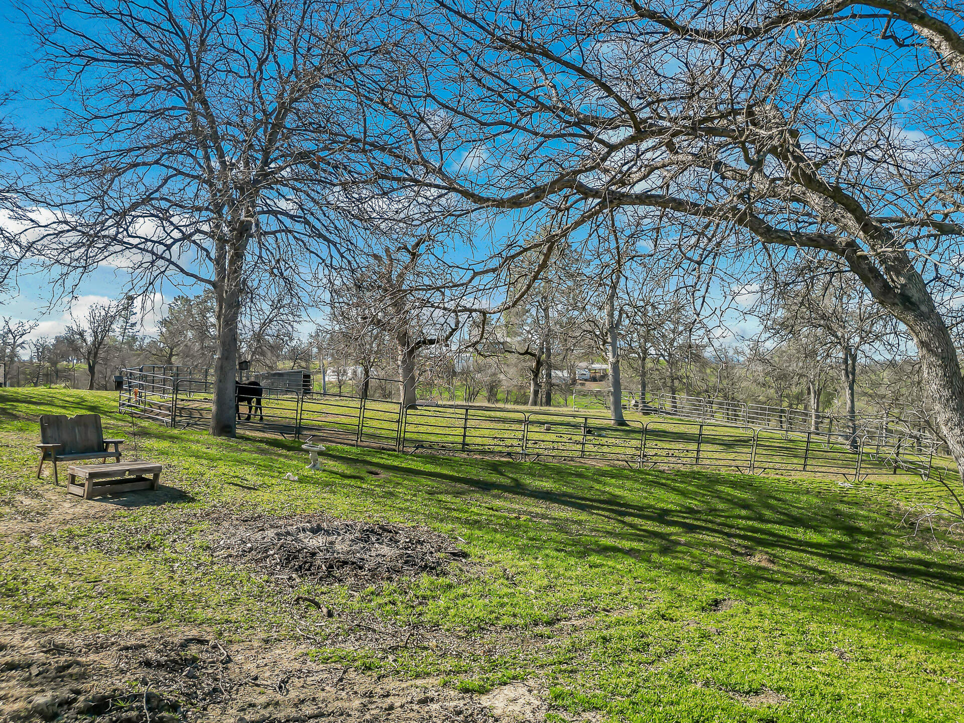 13725 Gas Point Road Igo, CA 96047 - Photo 47 of 56 Land