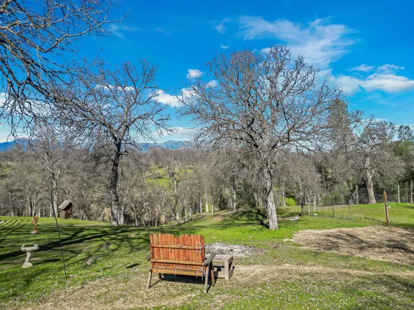a view of a yard with wooden fence