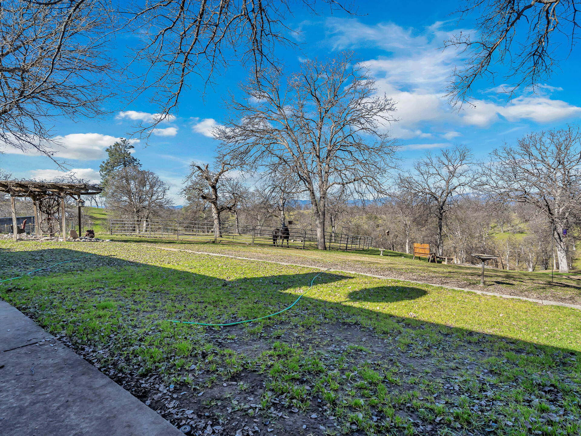 13725 Gas Point Road Igo, CA 96047 - Photo 50 of 56 Back View