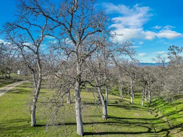 $449,000 | 13725 Gas Point Road, Igo, CA 96047